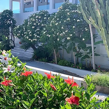 Hotel Pals Pefkos